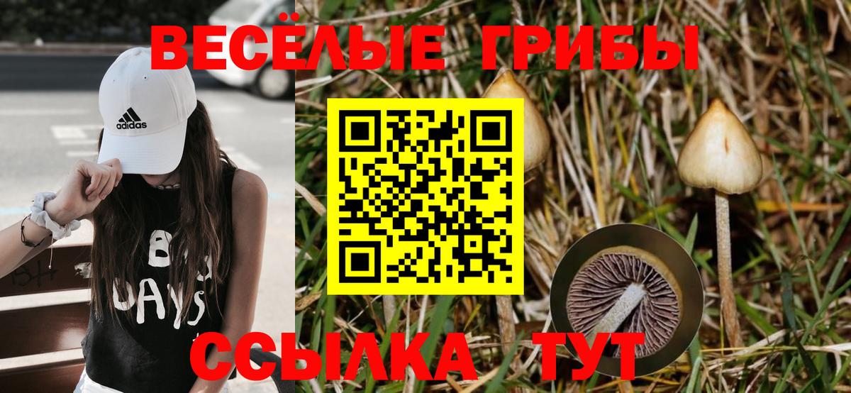 Псилоцибиновые грибы MAGIC MUSHROOMS Зима