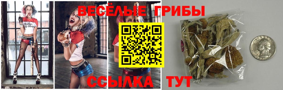 Зима  Галлюциногенные грибы мицелий  Вход с VPN  Псилоцибиновые грибы Psilocybe 